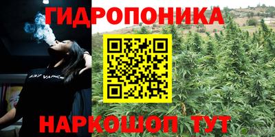 ECSTASY Дубна