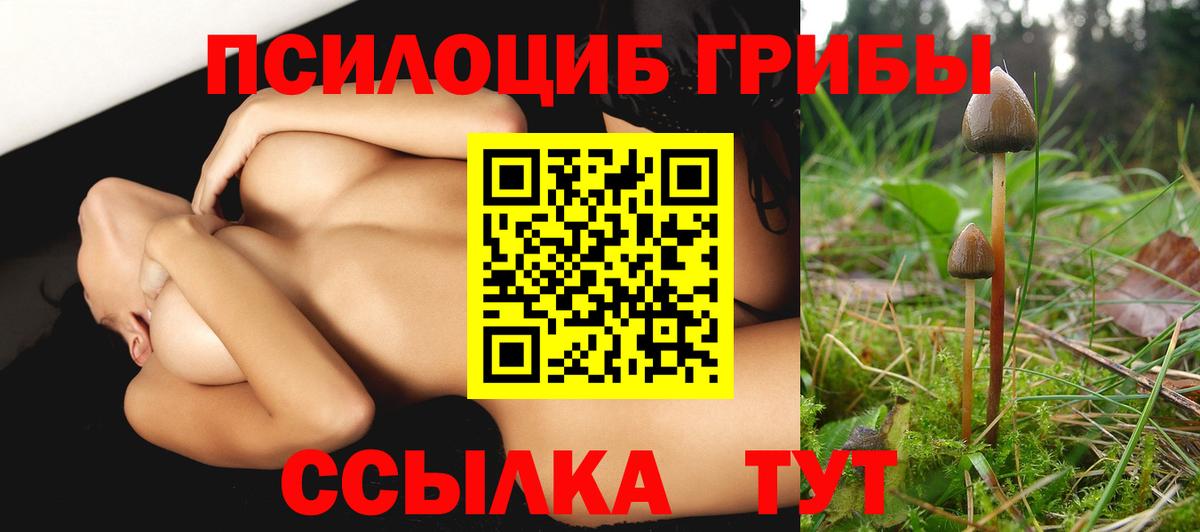 Истра  Псилоцибиновые грибы прущие грибы  Вход с VPN 
